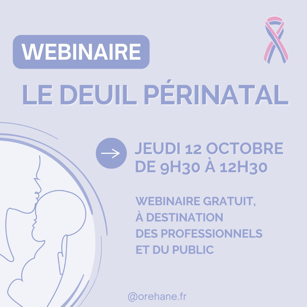 Agenda des webinaires 10